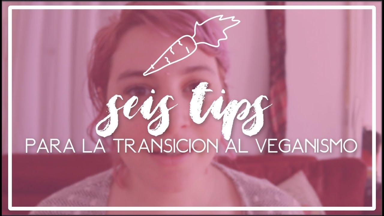 *6 TIPS PARA LA TRANSICIÓN AL VEGANISMO*
