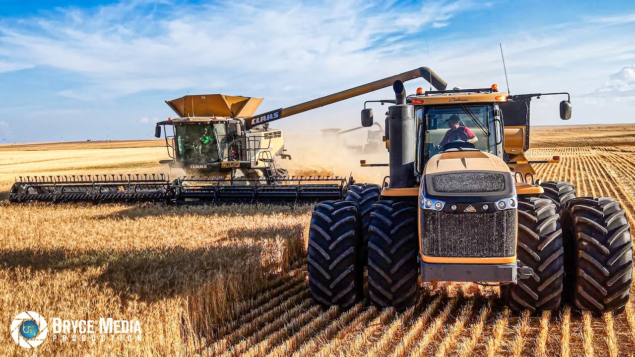 SOUNDVIDEO CAT Challenger MT965 E Traktor + Elmers Haulmaster 2000 + Cabview - Ernte in Nordamerika