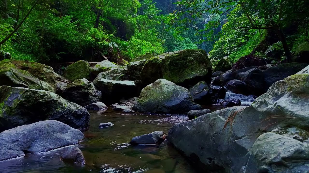Gentle River Flow ASMR to Sleep Deeply | sleep - relax - enjoy life - ASMR