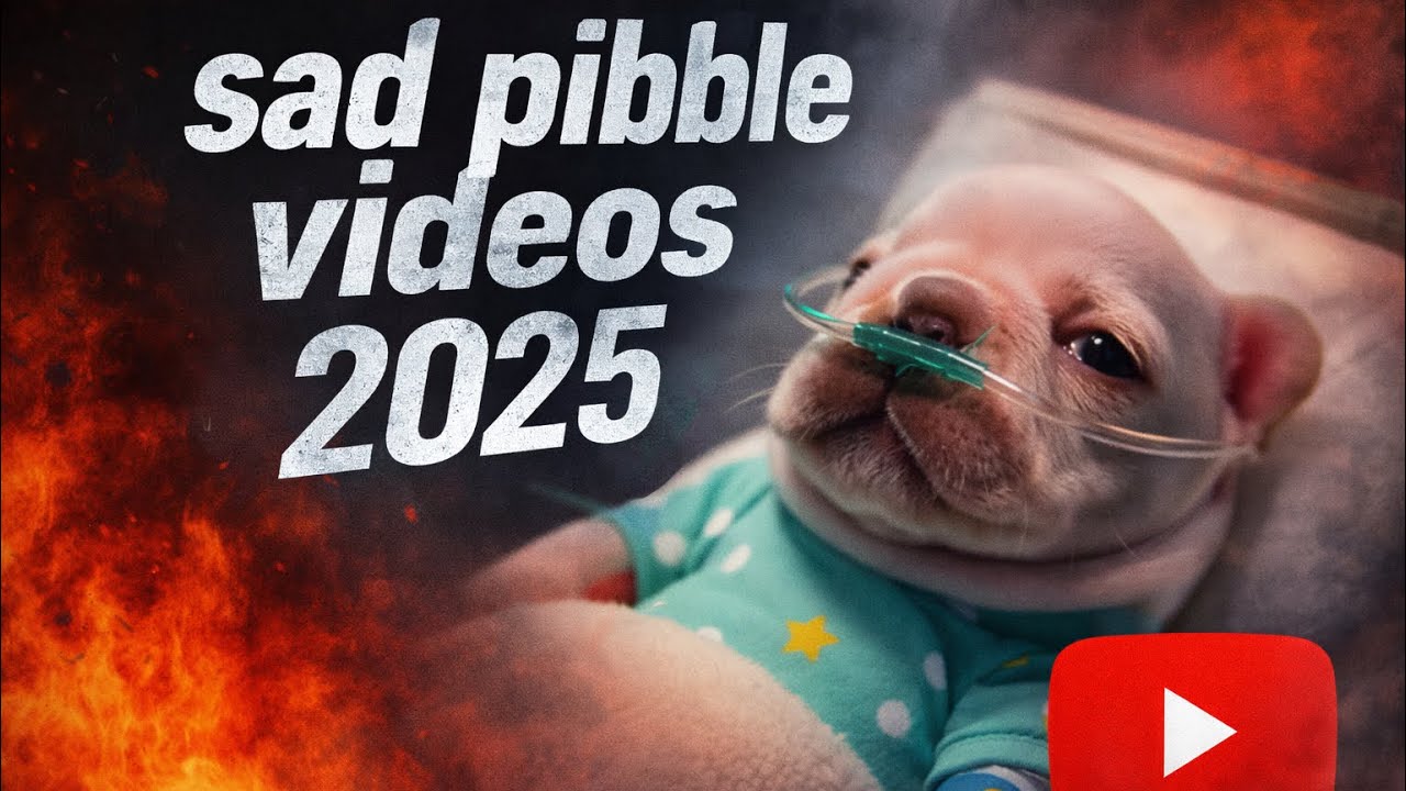 Самые грустные видео с питбулями 2025 года!