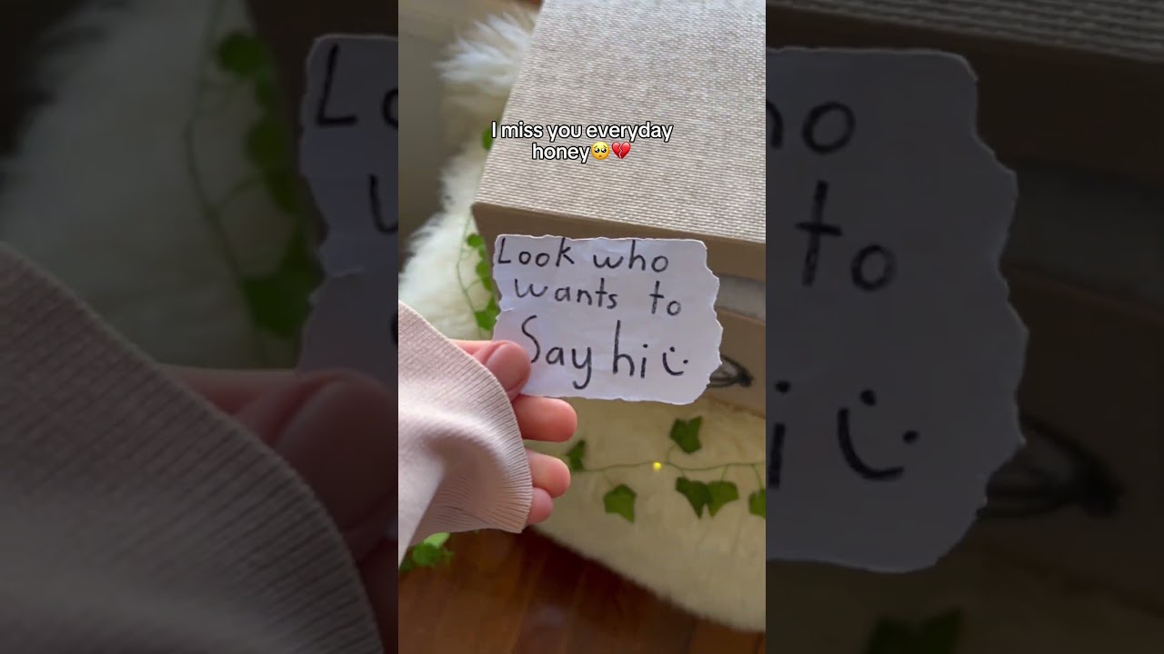Мы скучаем по тебе, дорогая ❤️&zwj;🩹🥹 #кошки #кошкивстаграме