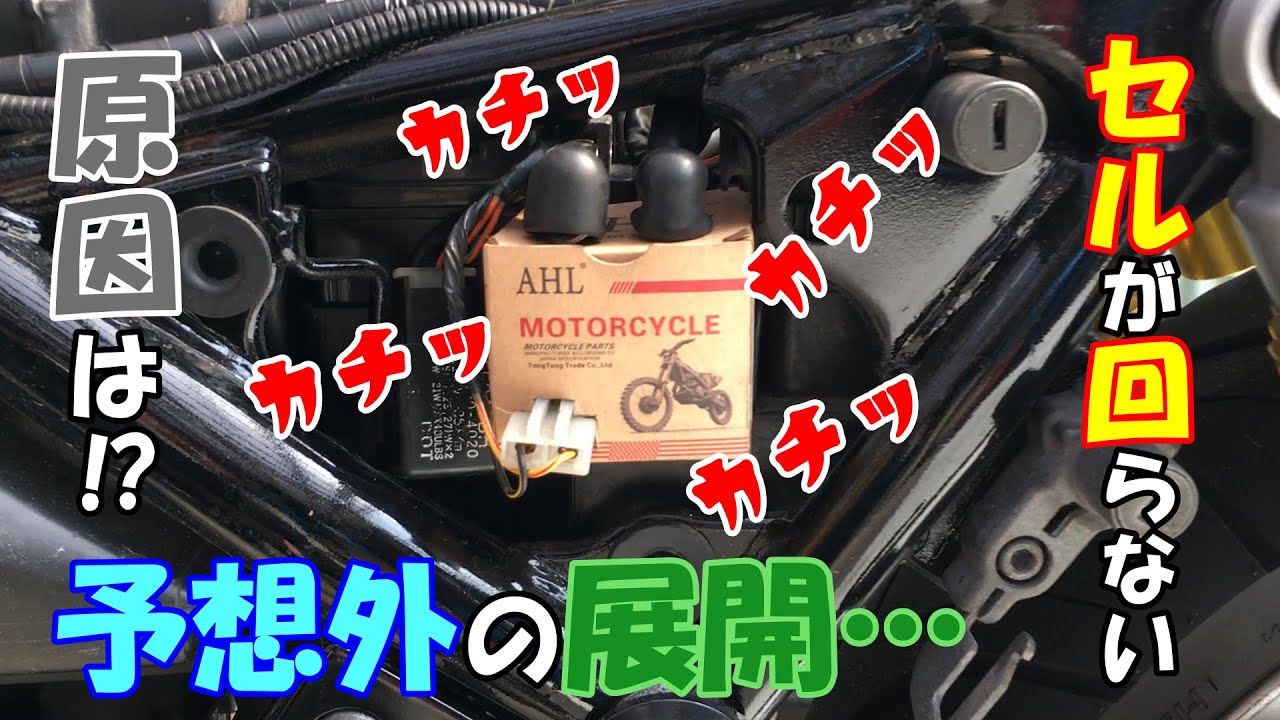 【ゼファーχ】冬眠から目覚めようとしない　このまま眠り続ける気かい!?