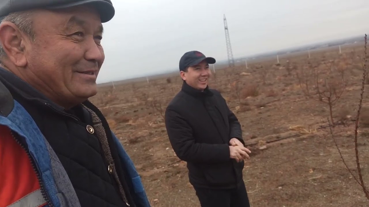 Кудайым жамгырды берди.Бизге жаз келди . Көчөттөрдү тигүүнү баштадык