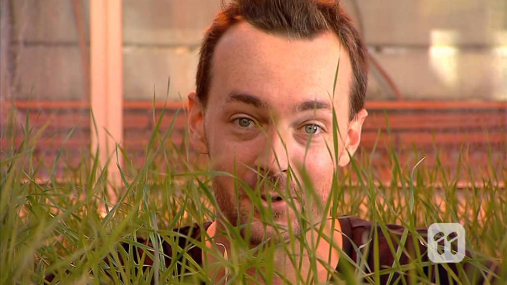 Science Scope: Super Wheat