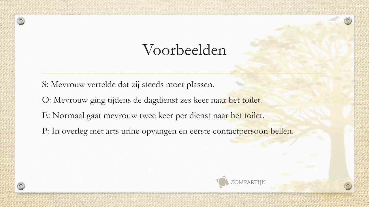 Rapporteren webinar