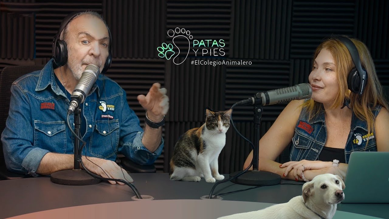PATAS Y PIES  25 ENERO 2026, PATICIERO noticias animaleros locales e internacionales.