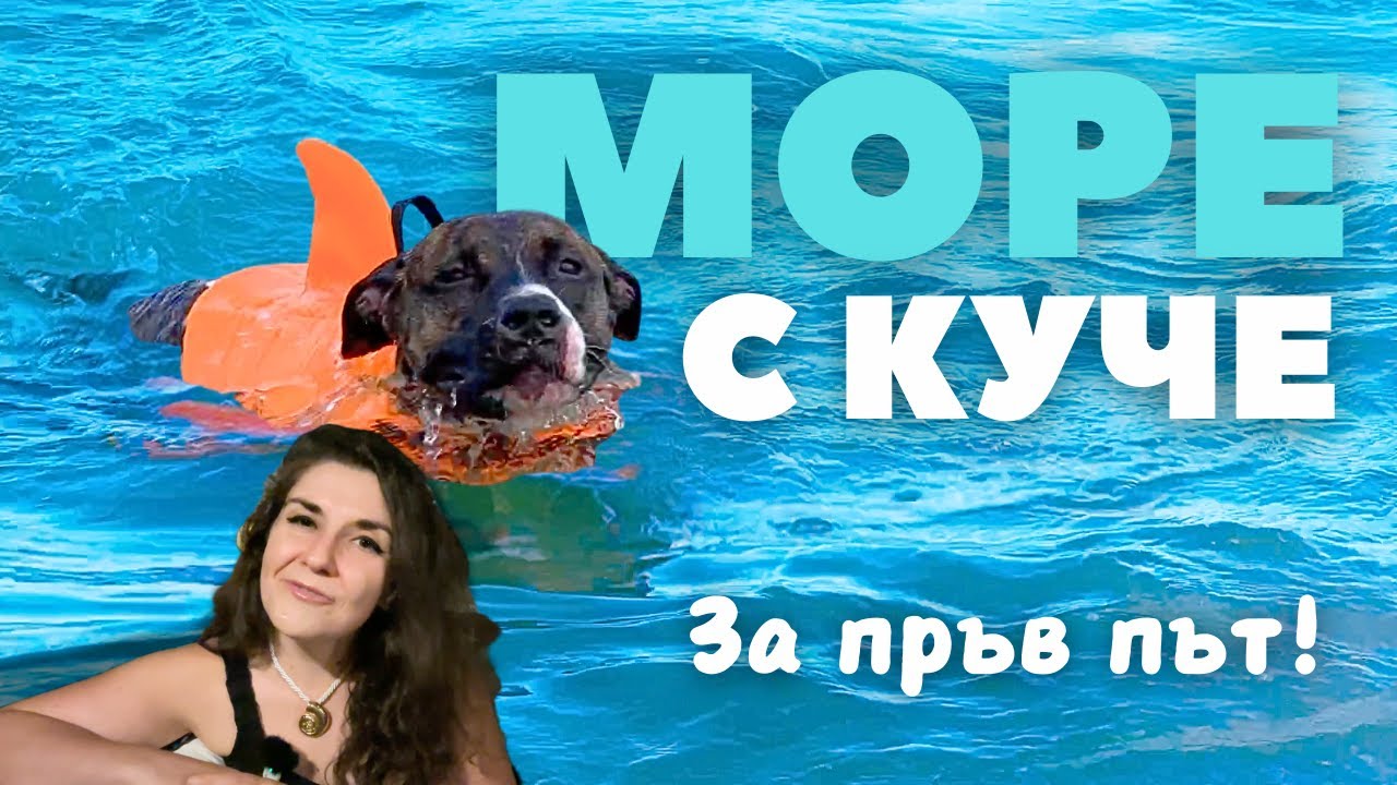 На море с куче за пръв път! (Много смях)