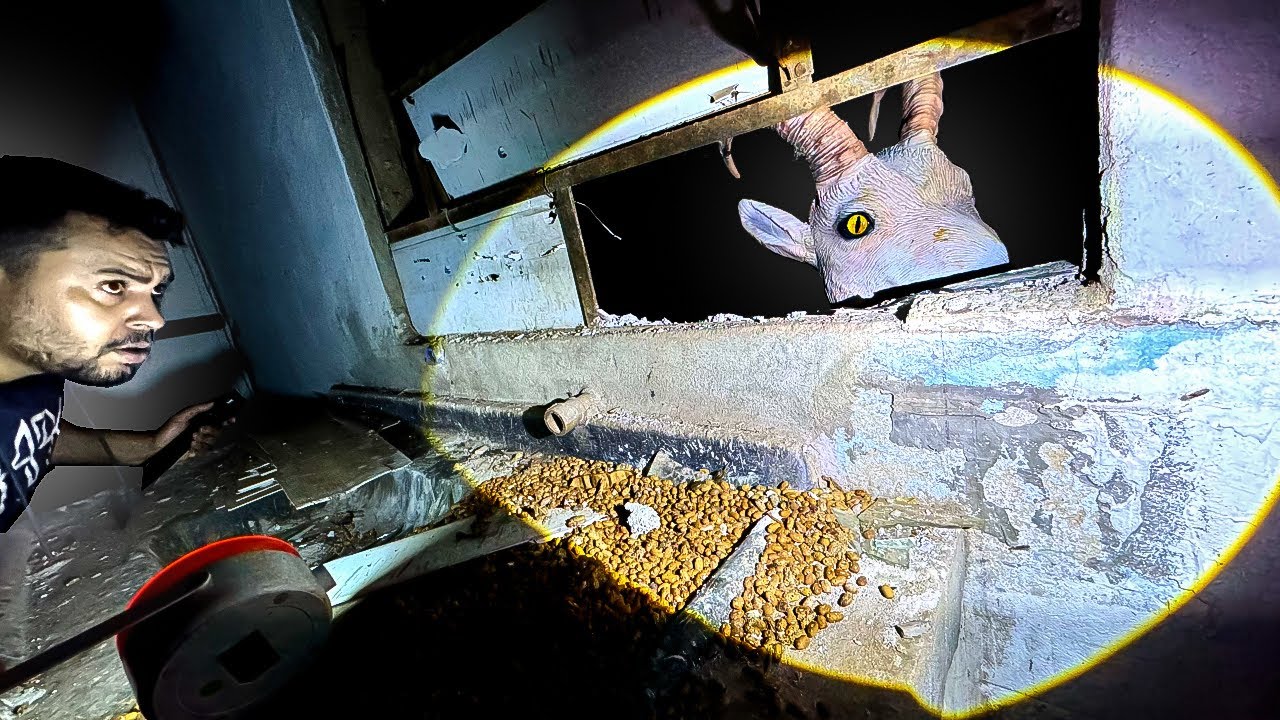 ASSUSTADOR ESSE BODE NÃO É UMA CRIATURA NORMAL - ELA PARECIA ESTÁ POSSUÍDA