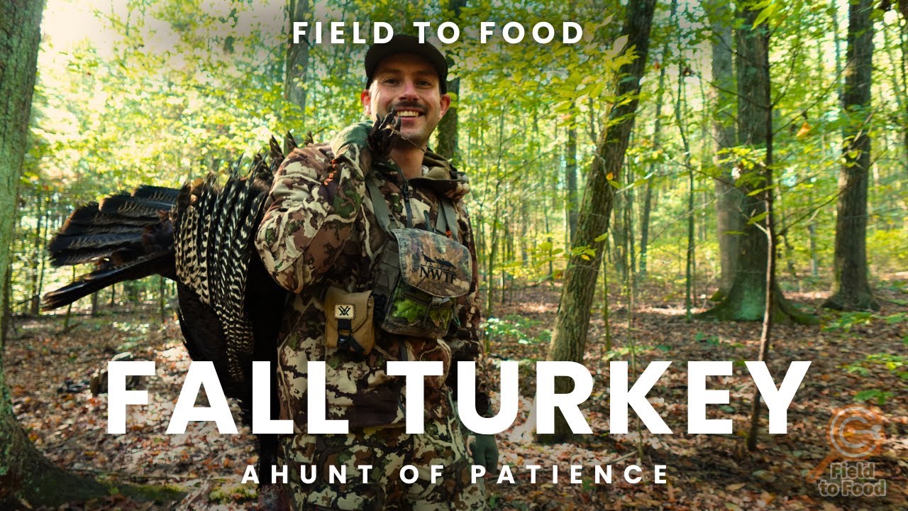 Fall Turkey Hunt: Patience Pays Off