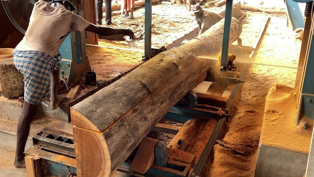 Amazing Saw Mill Cutting Giant Tree Woods| How its done