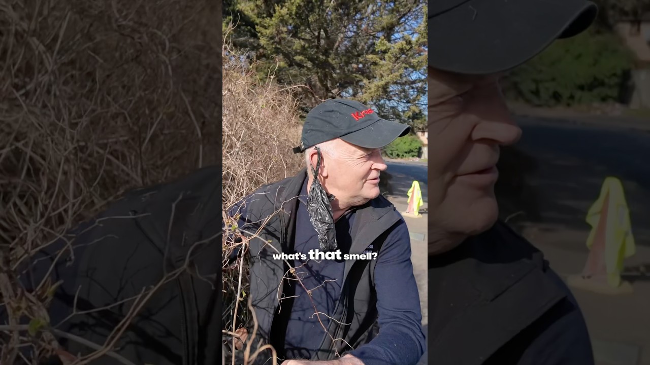 Я просто не могла не поделиться этими ляпами! Честно говоря, даже не знаю, что сказать...