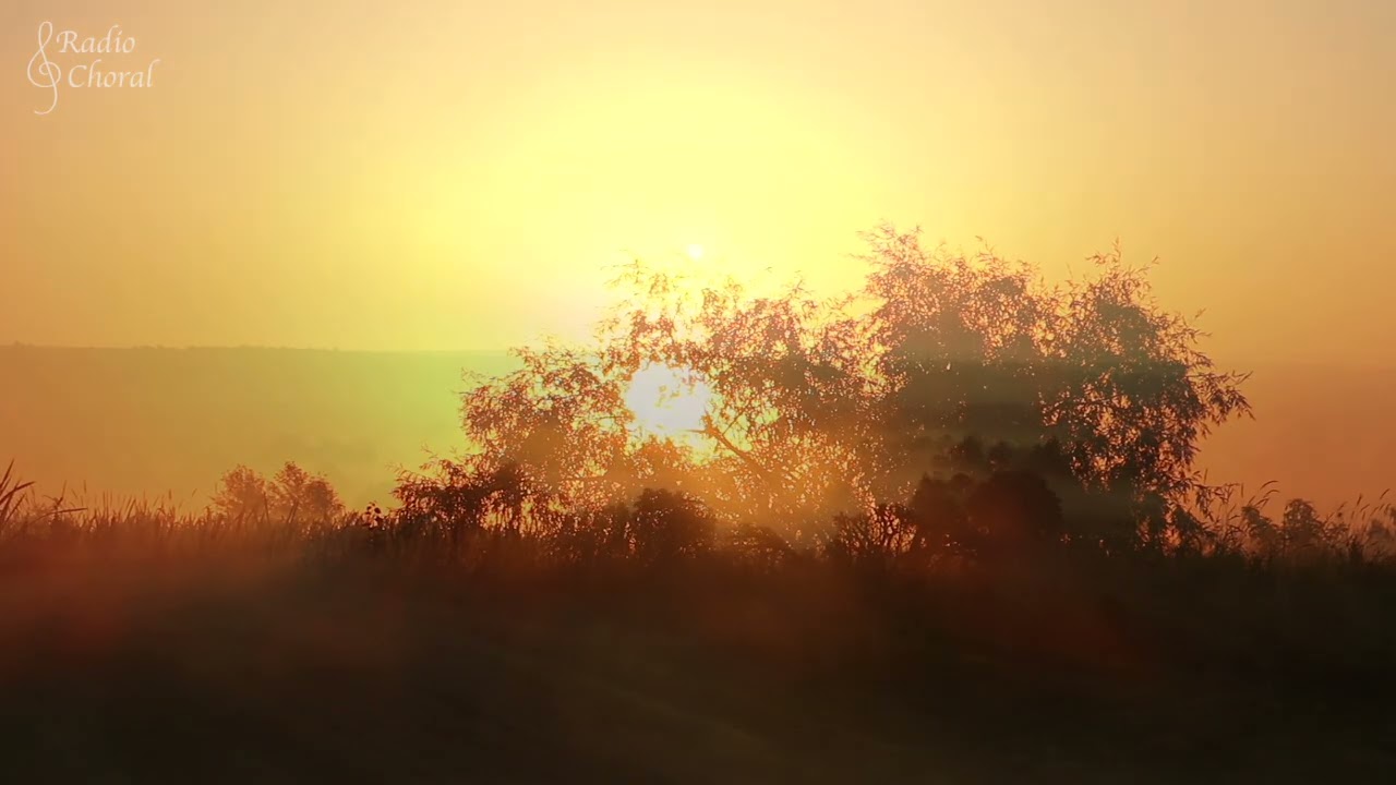 Kyrie from Franz Schubert’s Mass in A Flat | performed by Choir of the Earth