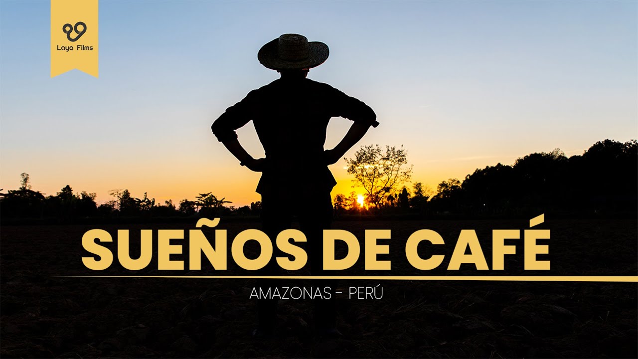CAFÉ en el PERÚ Documental | LAYA FILMS