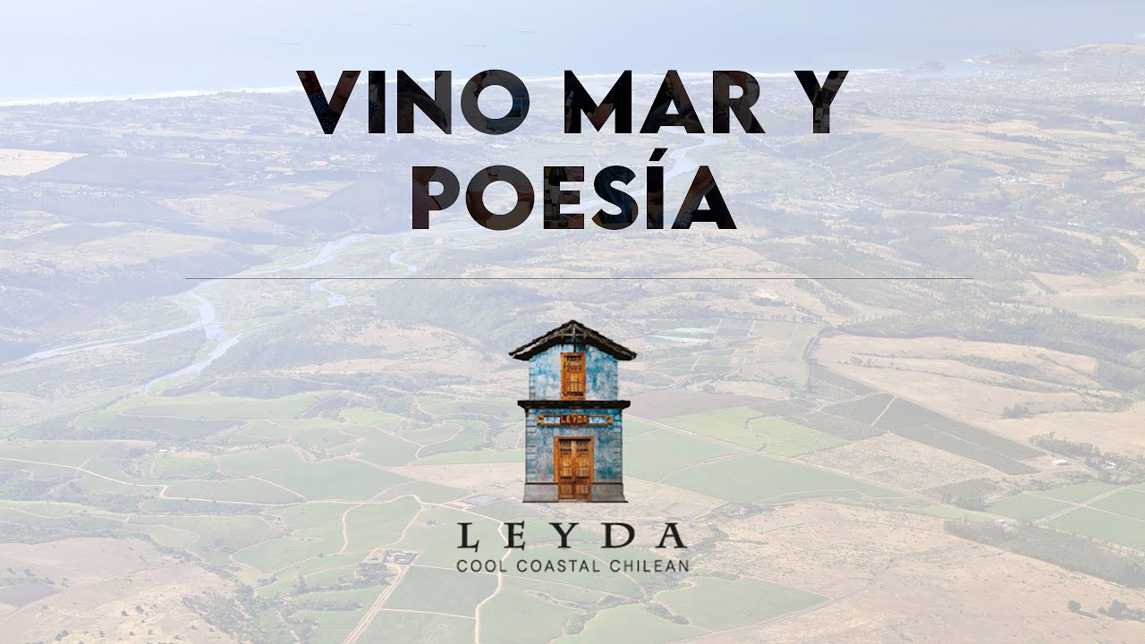 Viña Leyda | LitoralPoeta | Valle San Antonio | Chile