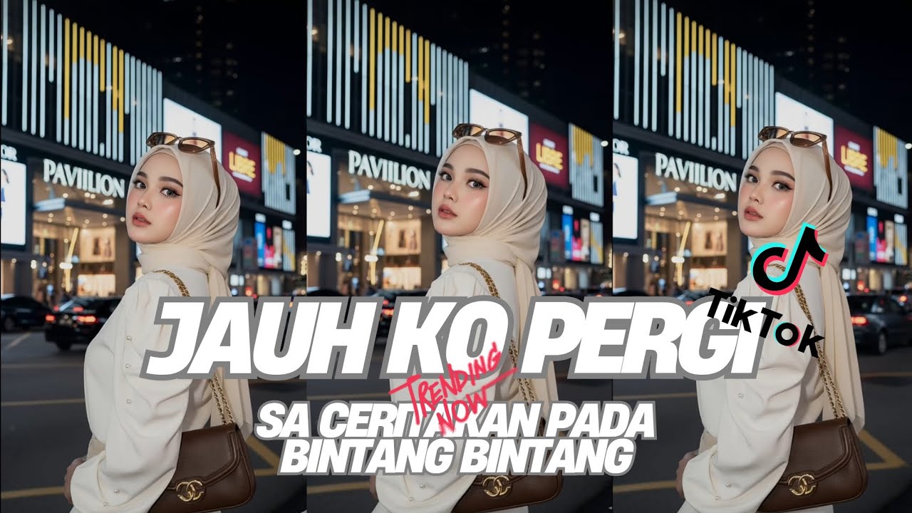 DJ JAUH KO PERGI || SA CERITAKAN PADA BINTANG-BINTANG. FYP TIKTOK