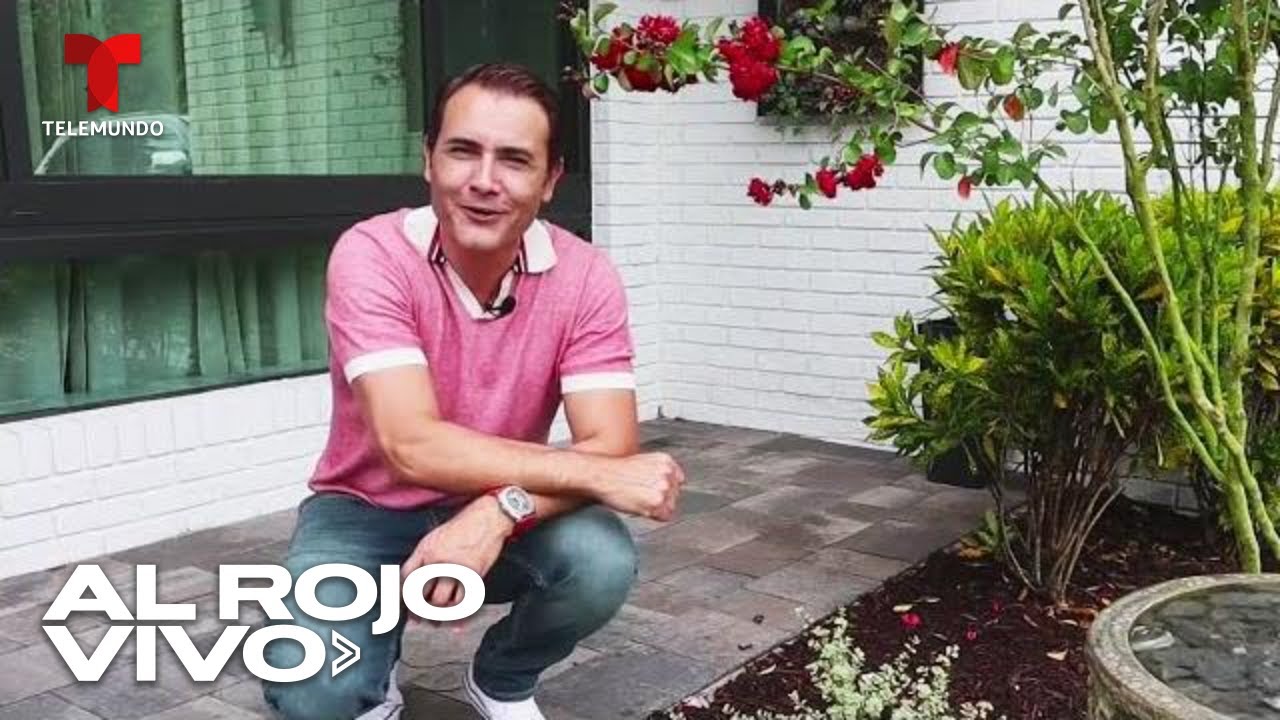 Tips de jardiner&iacute;a para embellecer el frente y la entrada de la casa