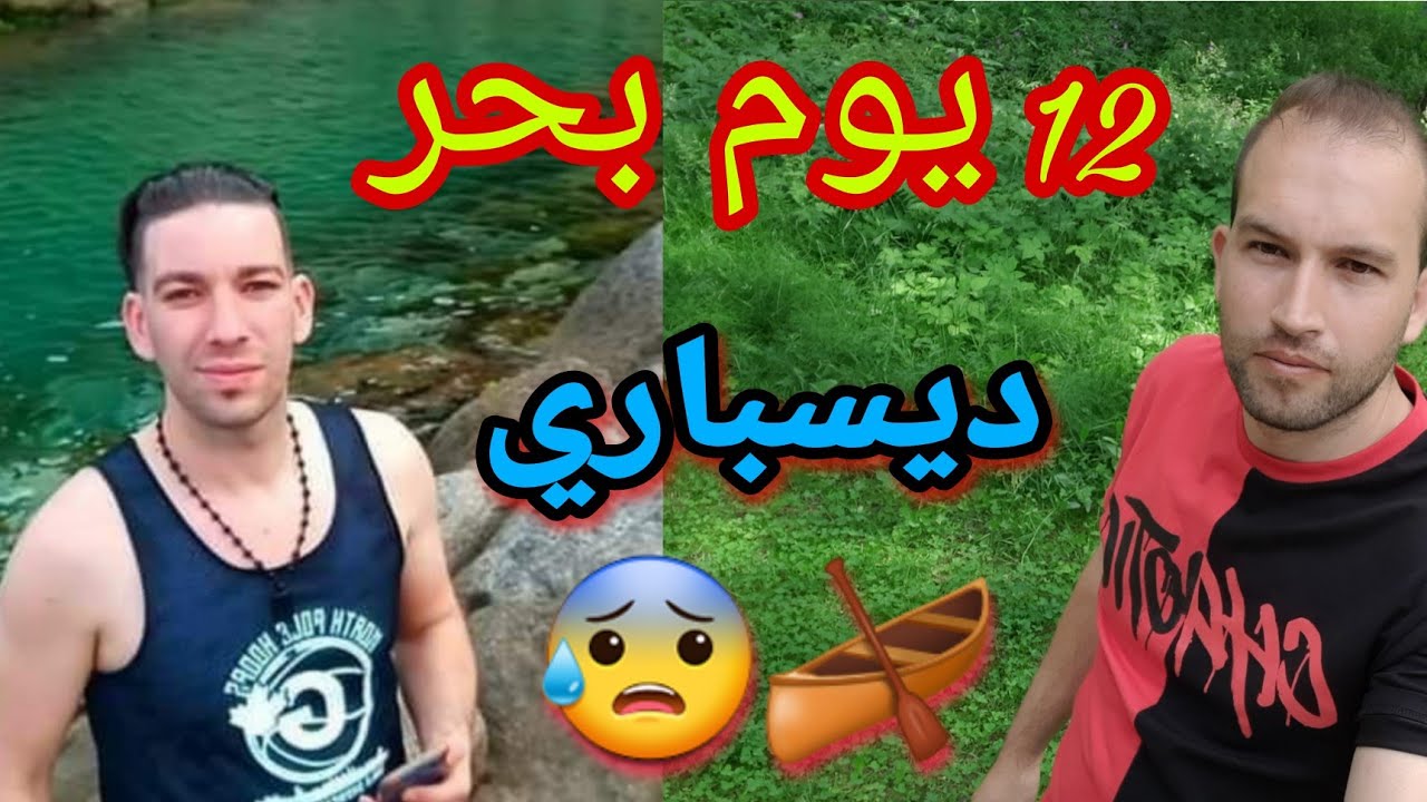 شهادة حراق 12 يوم ديسباري  كلينا سلحفاة 🐢