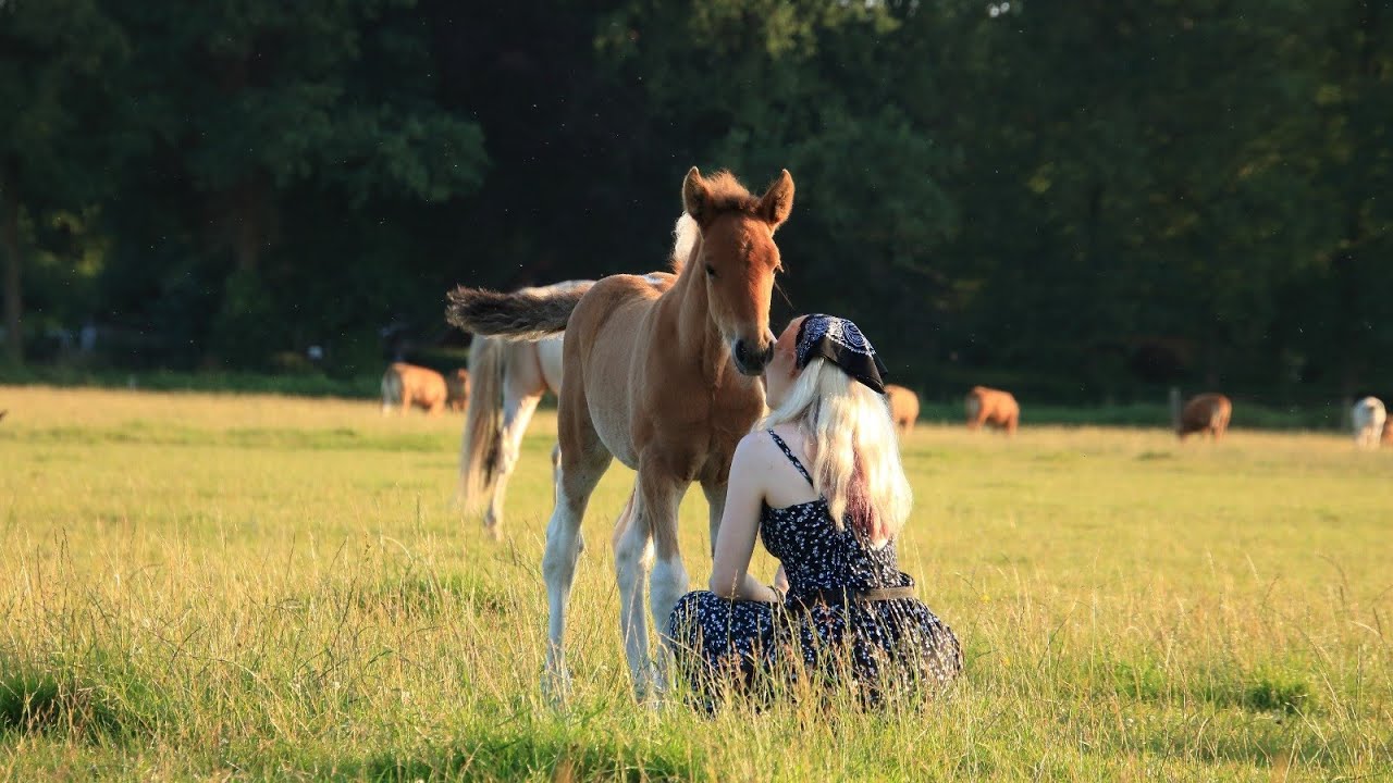 El Rancho de Verano || Westernweek 2024