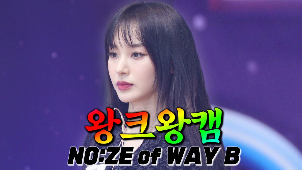 [4K] 왕프로니까 왕크게 보는 💗왕크왕캠💗 WAYB의 수장! 노제💖💖
