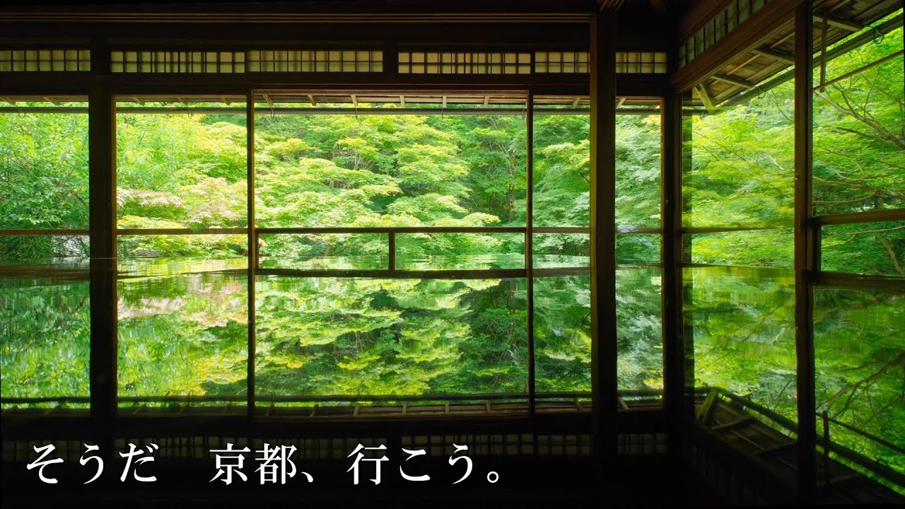 叡山電車で行く初夏の青もみじ旅：蓮華寺/瑠璃光院/そうだ京都行こう/癒しの京都, kyoto