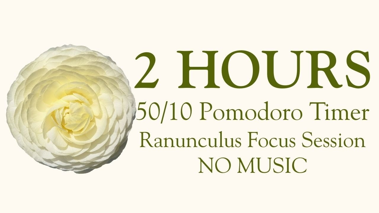 2 Hour Study With Me 🌿 White Ranunculus Garden | 50/10 Pomodoro | Nature Sounds (No Music)