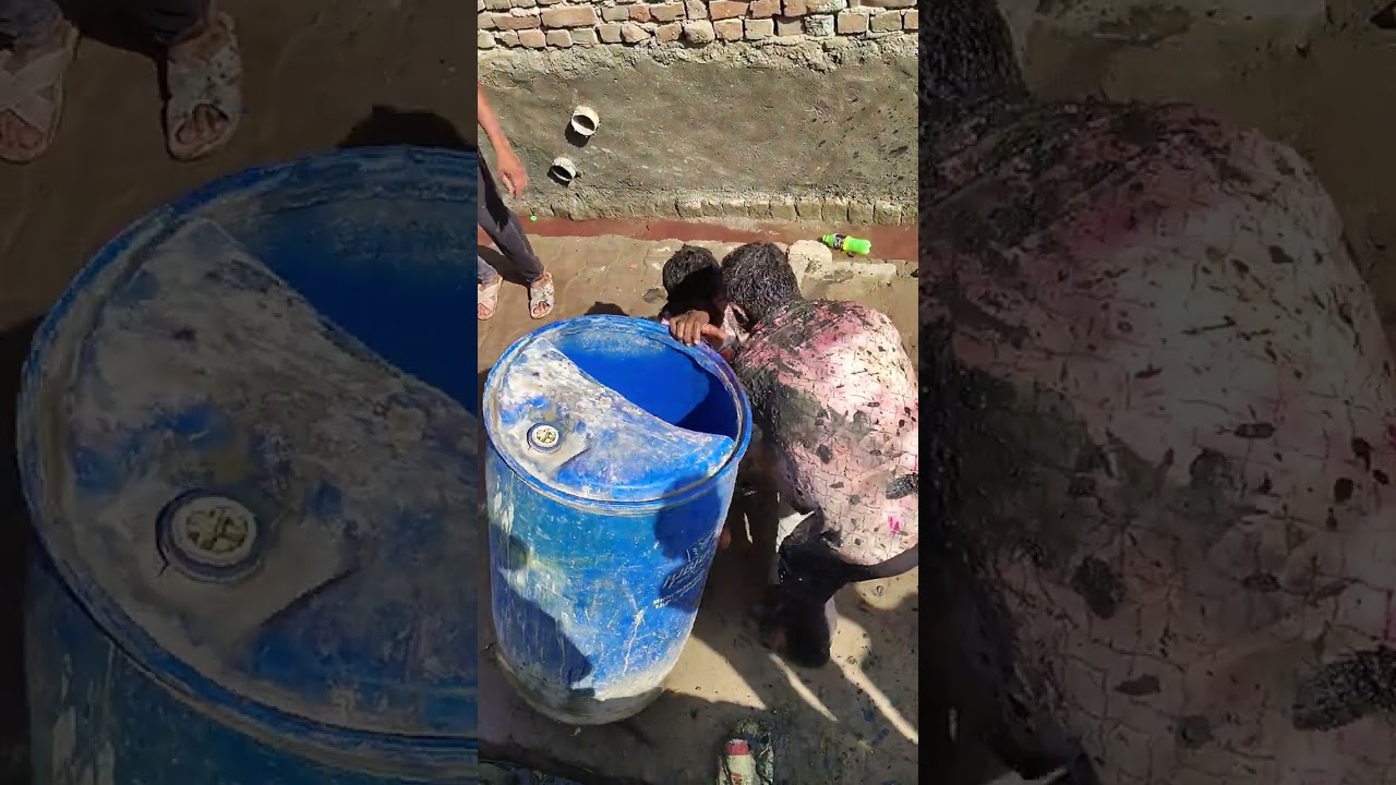 Braj ki holi