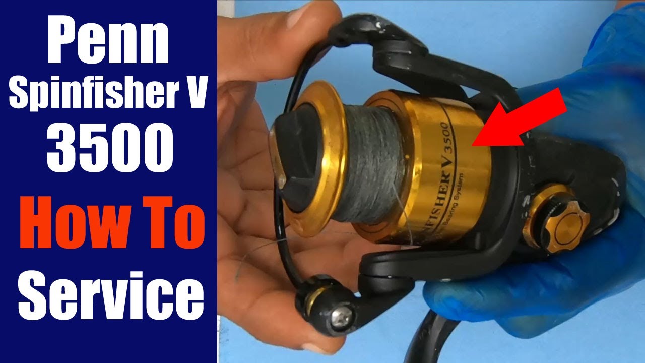 Penn Spinfisher V 3500 Fishing Reel - How to take apart, service and reassemble