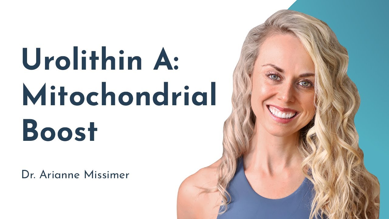 Urolithin A: A Postbiotic Revolution in Mitochondrial Health