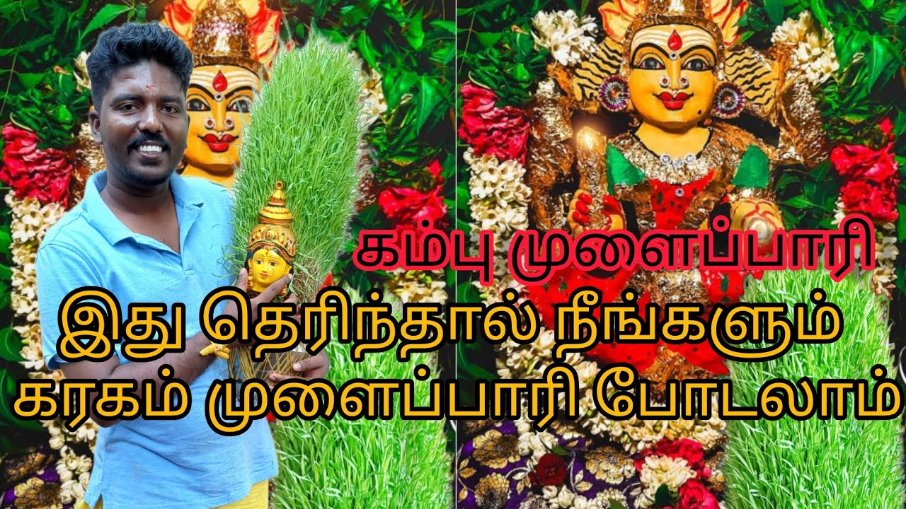 நீங்களும் கரகம் முளைப்பாரி போடலாம் #mulaipari #கம்புமுளைப்பாரி#முளைப்பாரிவளர்ப்பு #கரகம்முளைப்பாரி🙏
