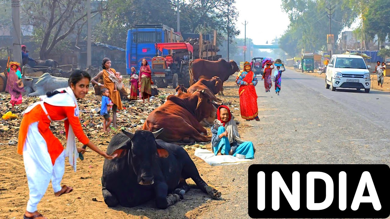 🇮🇳This Is The India That People Never Get To See ] This Is The Real India [ Real Life India 
