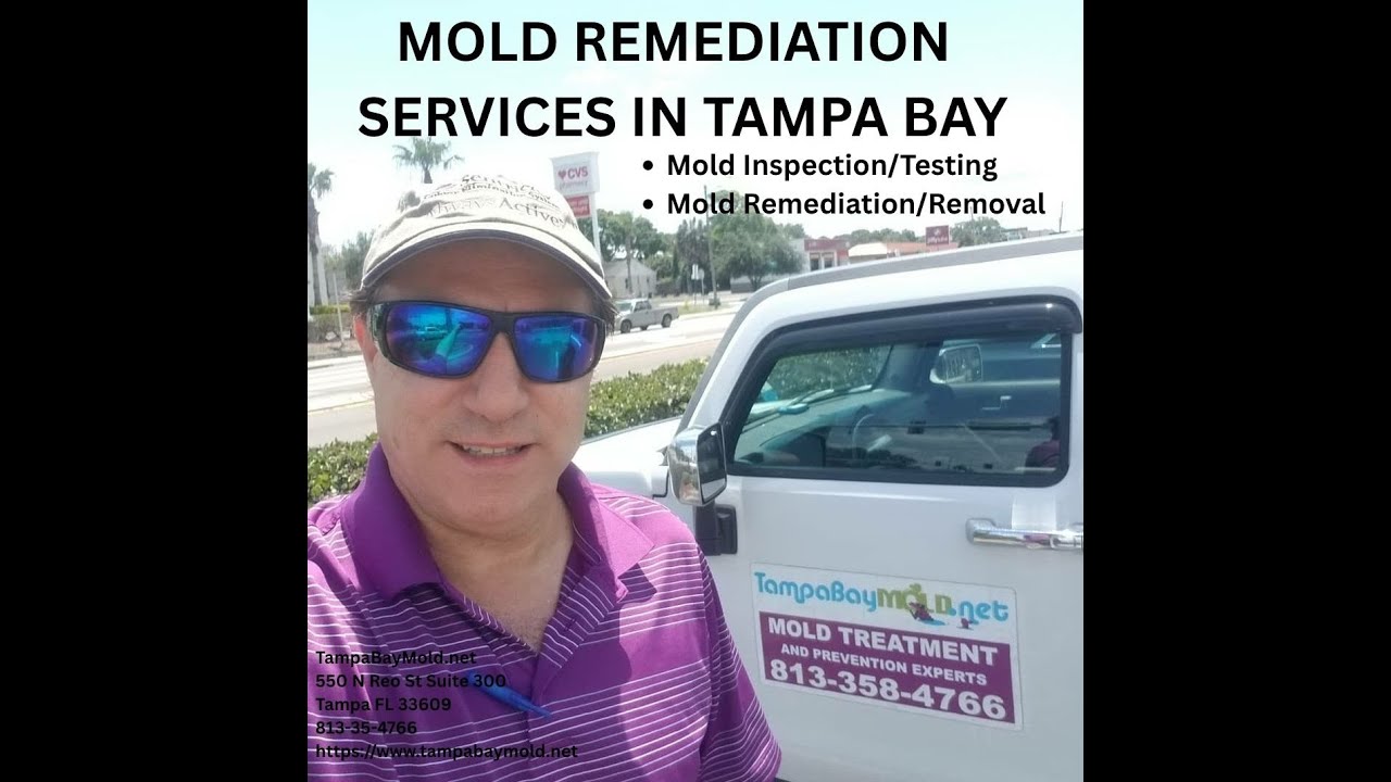 Mold Remediation Services Tampa Bay 813-358-4766 TampaBayMold.net