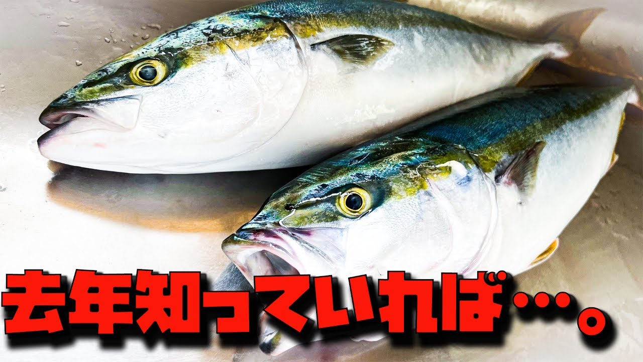 初心者でもできる、低活性でも釣れるジグのしゃくり方【ショアジギング】