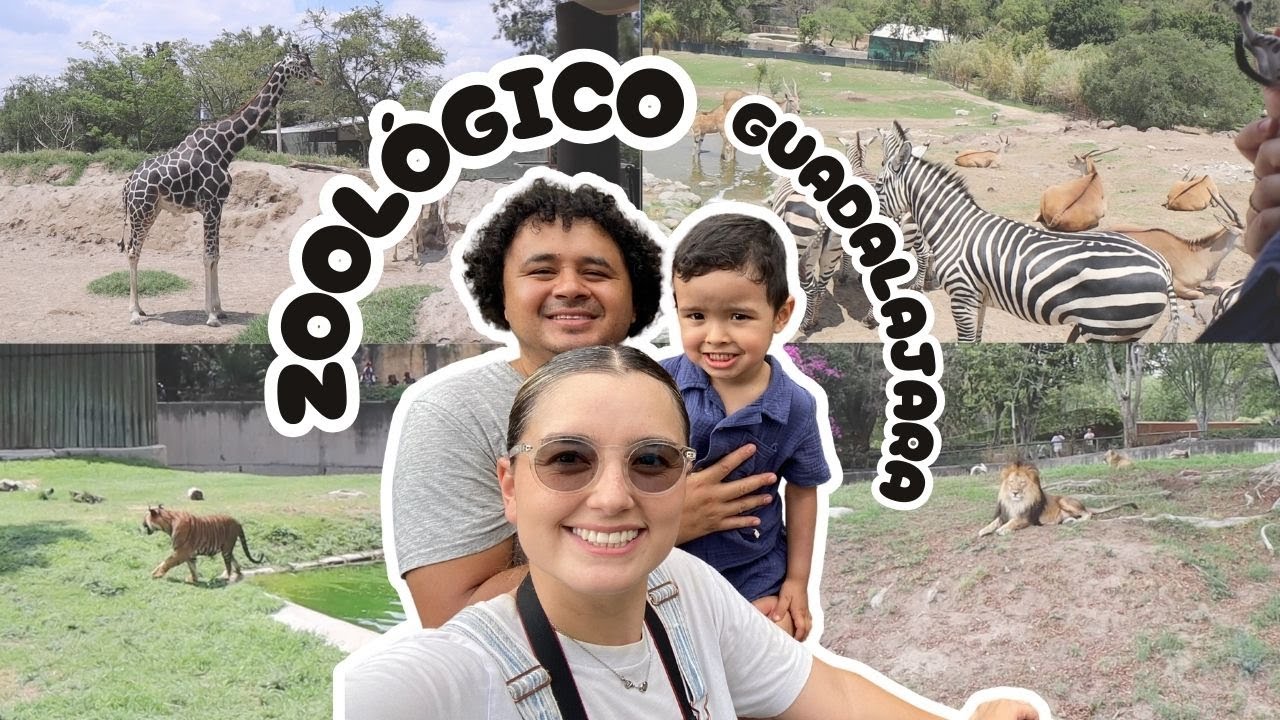 VISITANDO EL ZOOLÓGICO EN FAMILIA / VACACIONES CON MI HIJO / HAIVAL