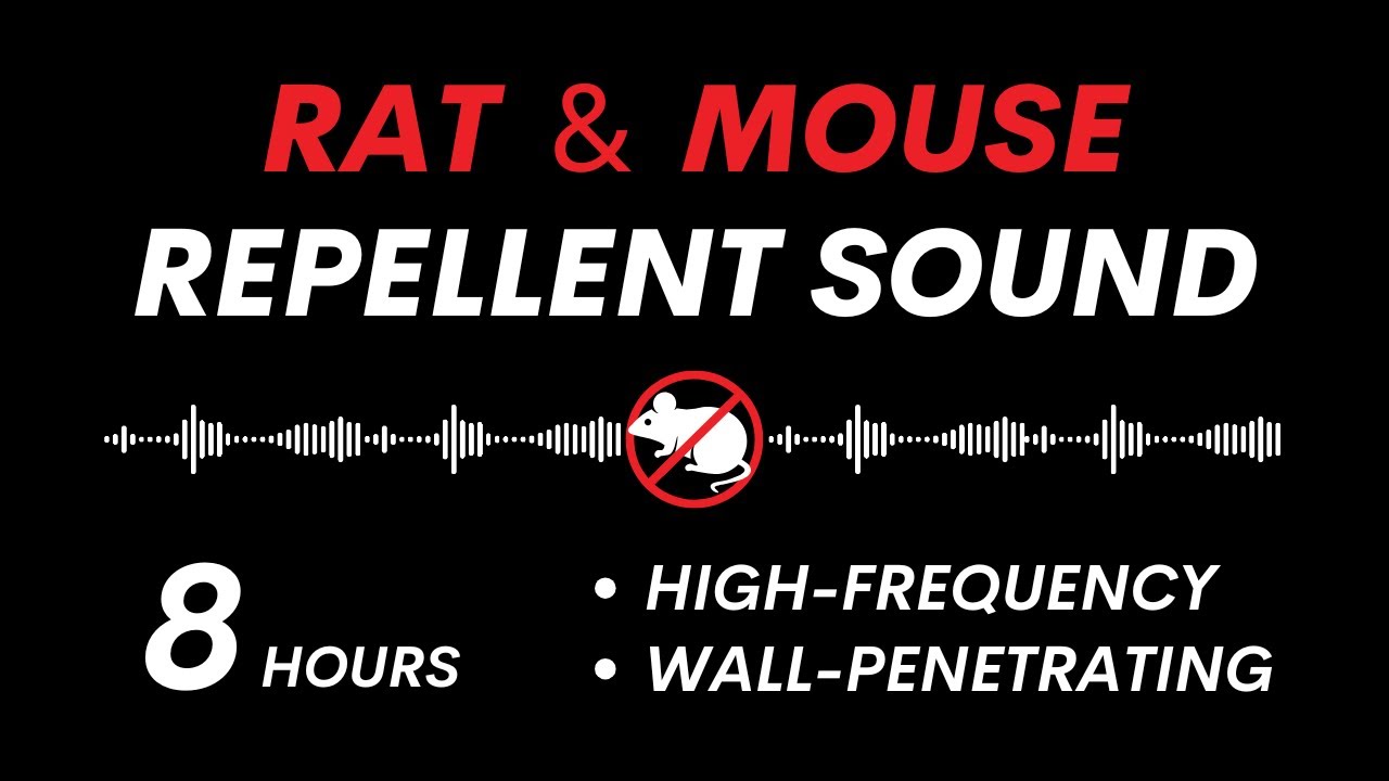 Ultrasonic Rat & Mouse Repellent | Effective Wall-Penetrating Sound | 8 Hours