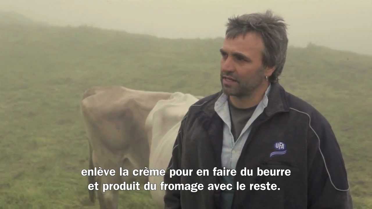 Migros Interview: &Eacute;levage de veaux TerraSuisse