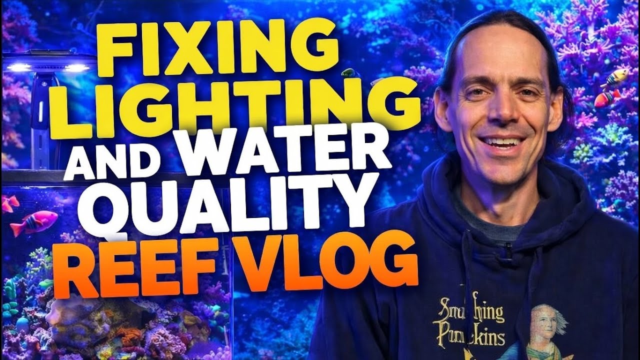 Fixing Lighting and Water Quality Reef Vlog