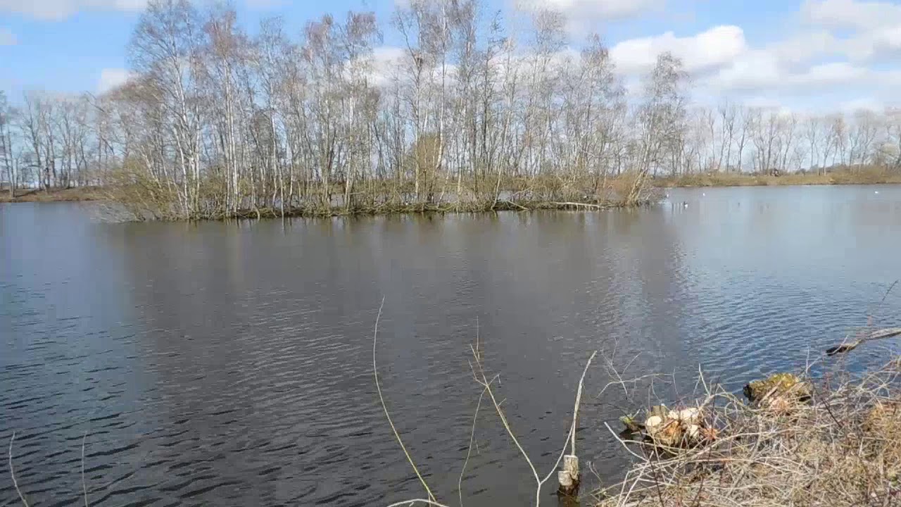 Kiessee Moortun nahe Marienhafe