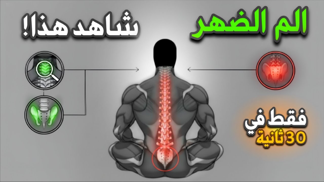 خدعونا عن ألم الضهر… حركة واحدة غيّرت كل شيء في 30 ثانية