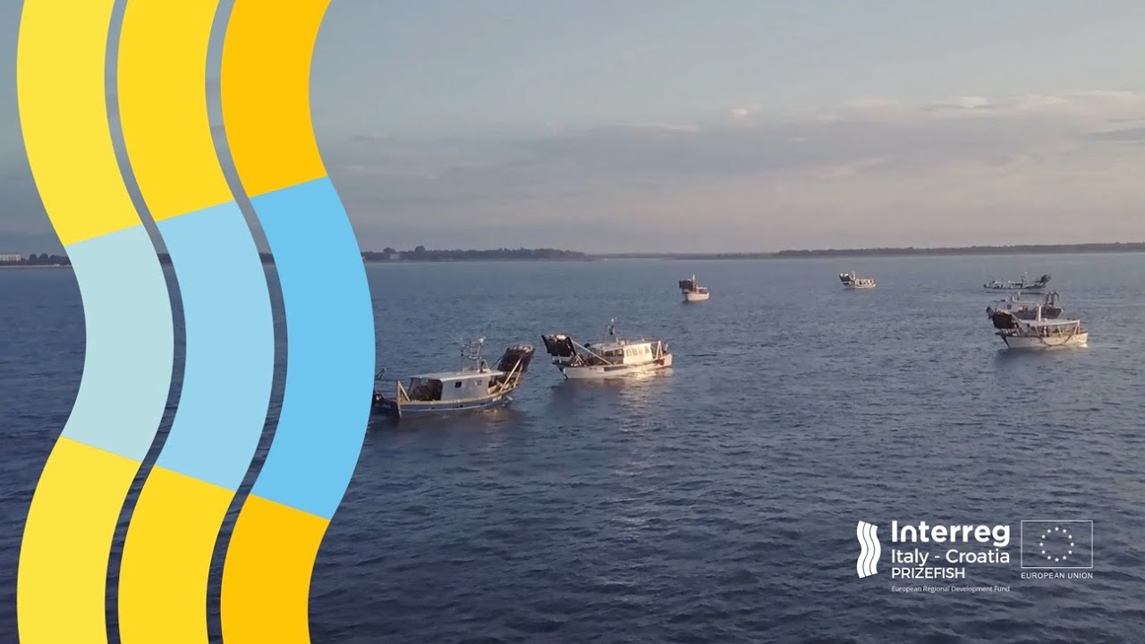 PP1 Zadar County, PRIZEFISH: Innovative tools and processes - PO  BIVALVIA