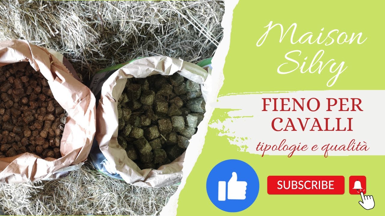 FIENO PER CAVALLI - Come sopravvivere alla crisi