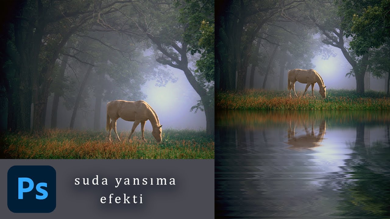 Photoshop suda yansıma efekti nasıl verilir