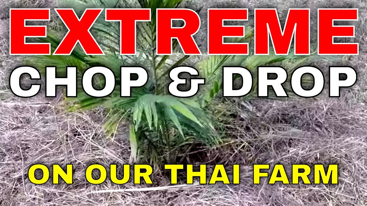 Farm Life - EXTREME CHOP AND DROP