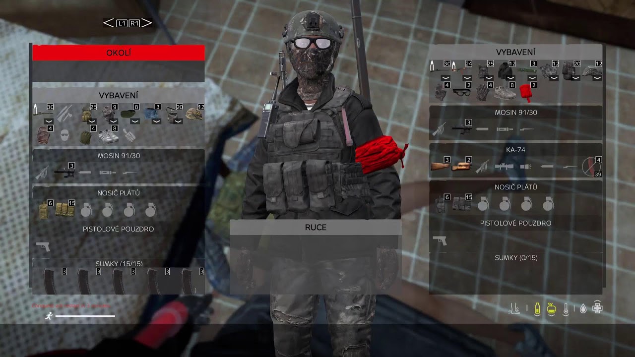DayZ