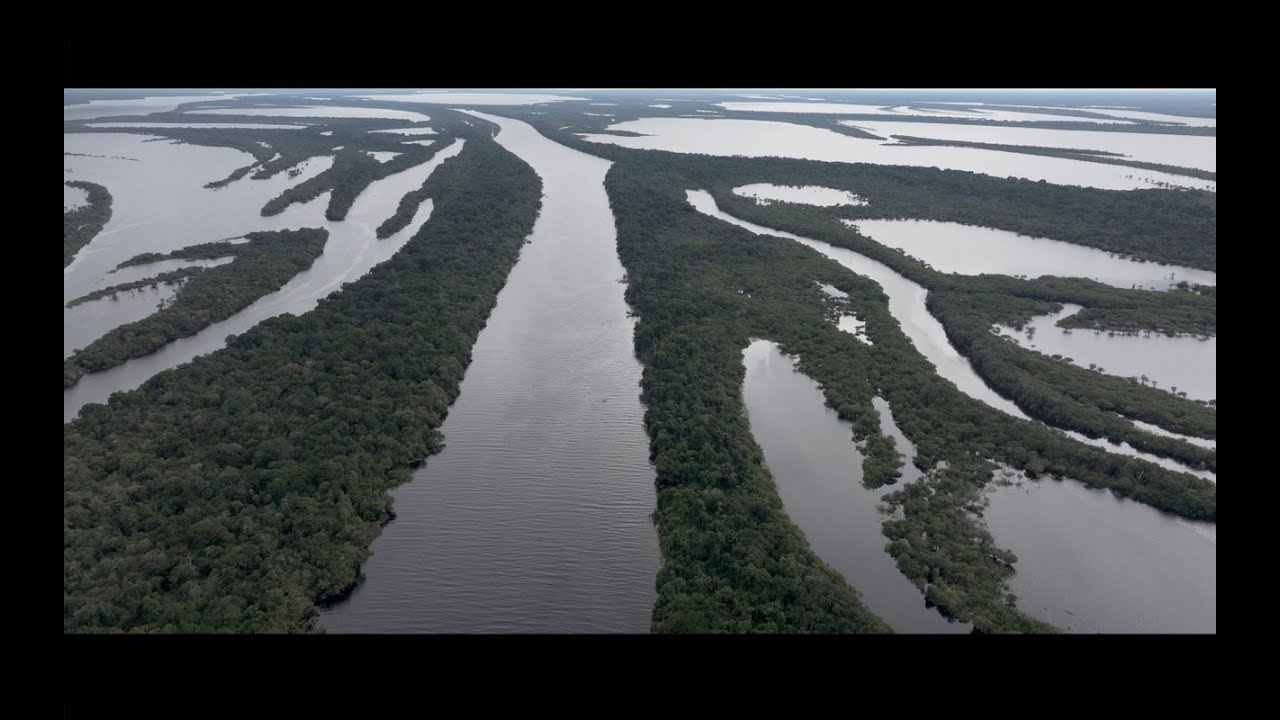 PROVIDENCE: The Sense of Silence Foundation. Amazon.Brazil. UPC