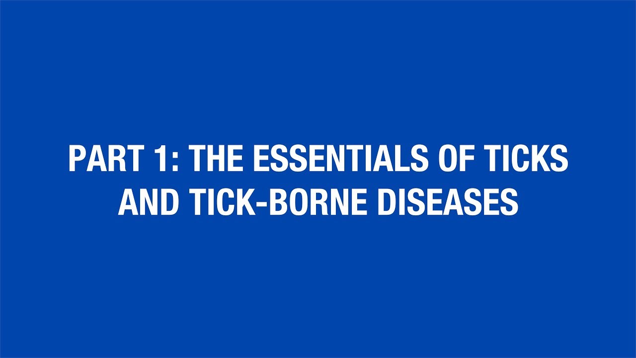 Часть 1: Основы клещей и заболеваний, передаваемых клещами [Горячая тема]