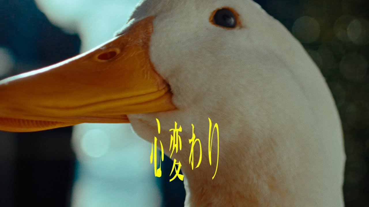 indigo la End - 心変わり【Music Video】