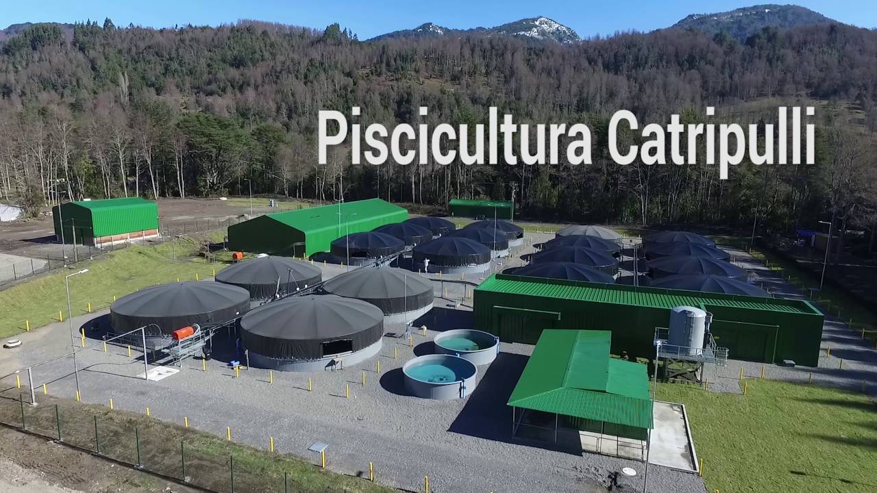 Piscicultura Catripulli