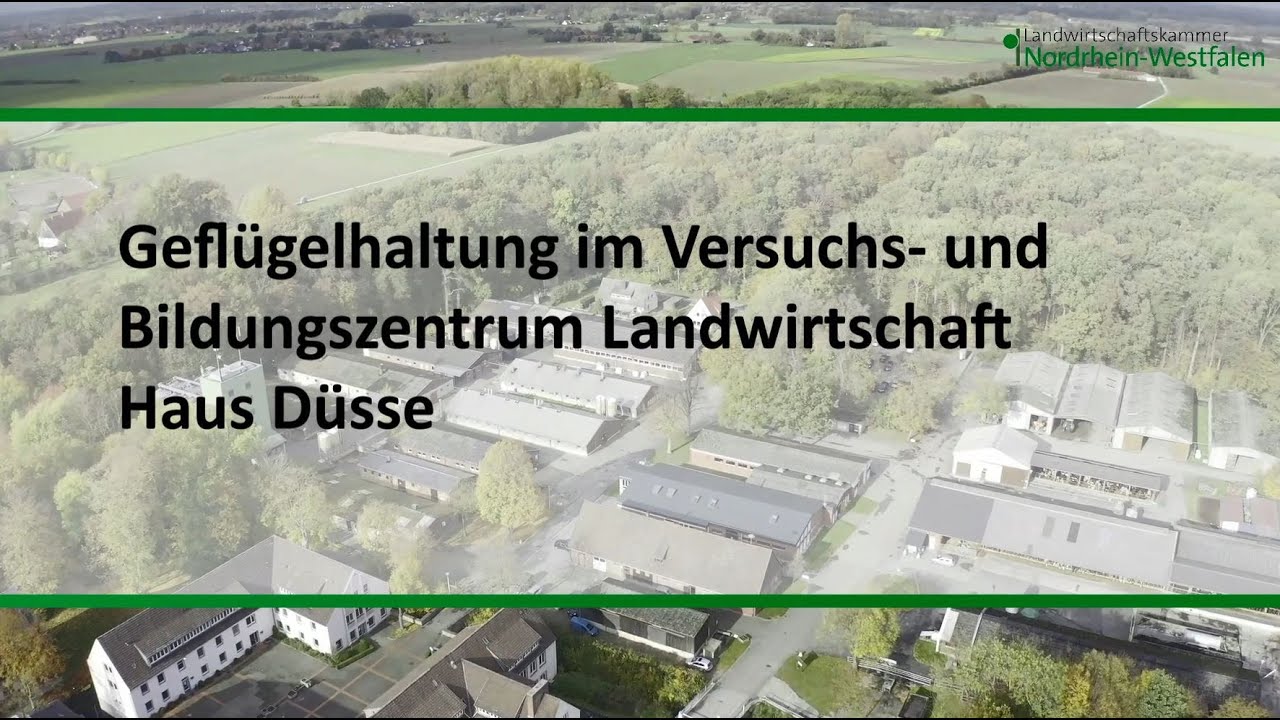 Geflügelhaltung Haus Düsse