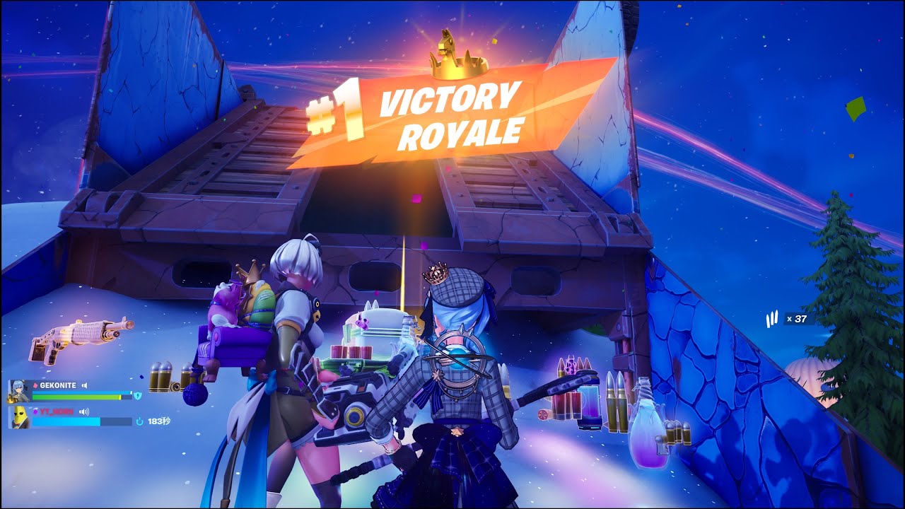 Fortniteノルン配信参加ビクロイした‼️