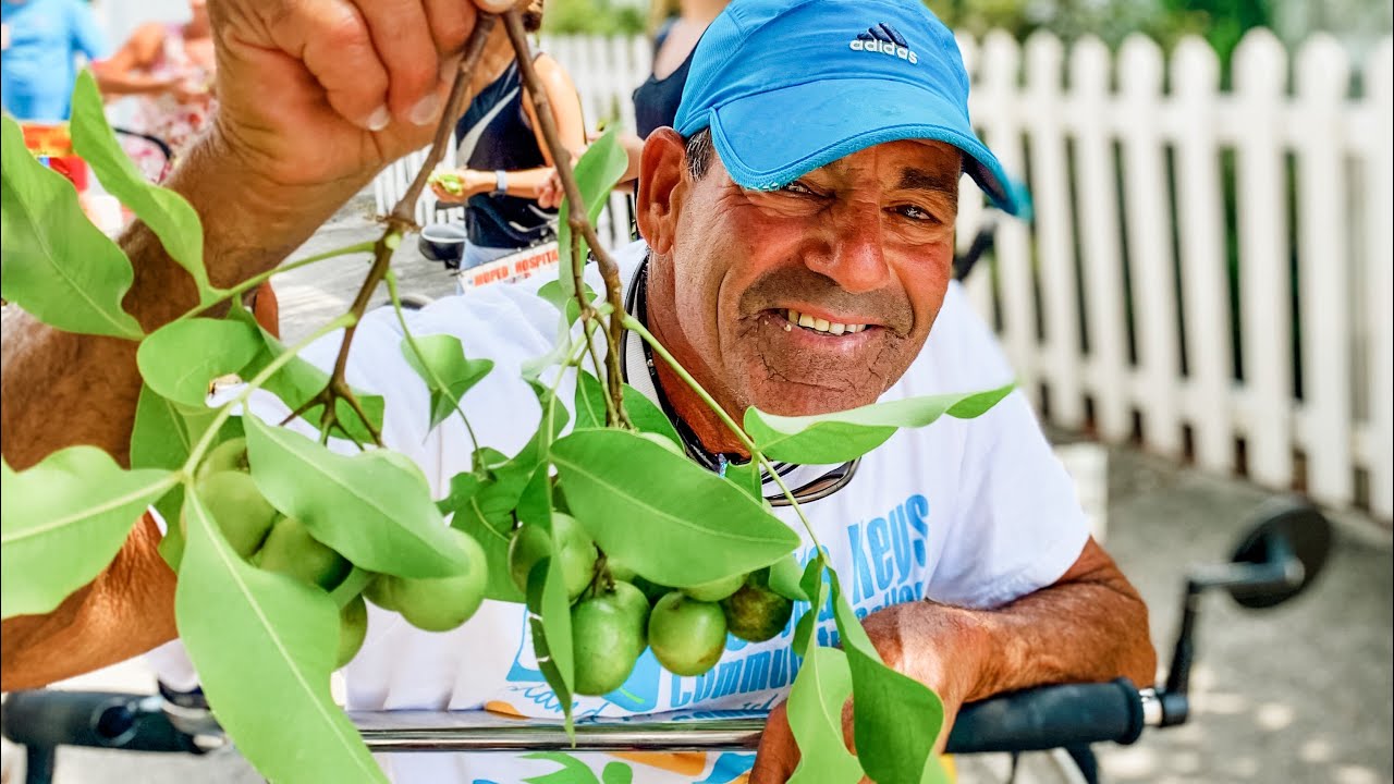 Fruit Hunting in Key West with Lloyd's Tropical Bike Tour